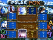 Игровые символы видеослота Polar Fox