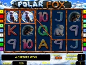 Как играть в автомат Polar Fox