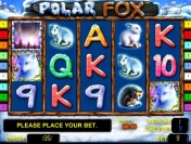 Бонусы игрового автомата Polar Fox
