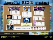 Игровые символы видеослота Rex