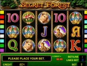 Сюжет игрового автомата Secret Forest